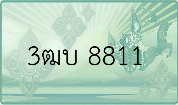 3ฒบ 8811